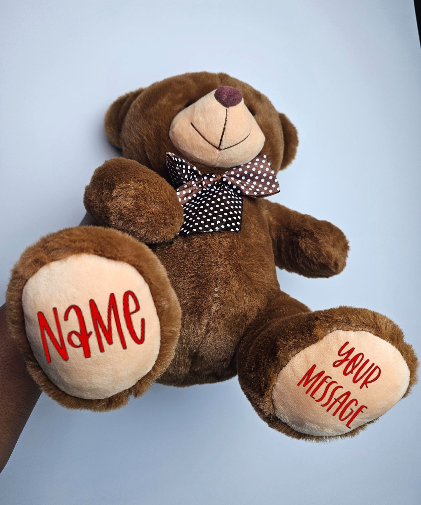 Custom Teddy Bear (12 Inches)