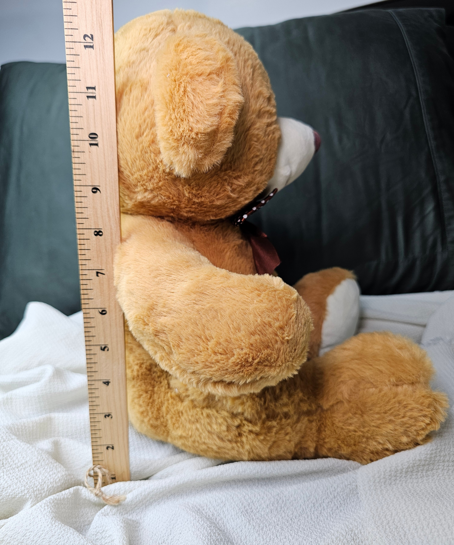 Custom Teddy Bear (12 Inches)