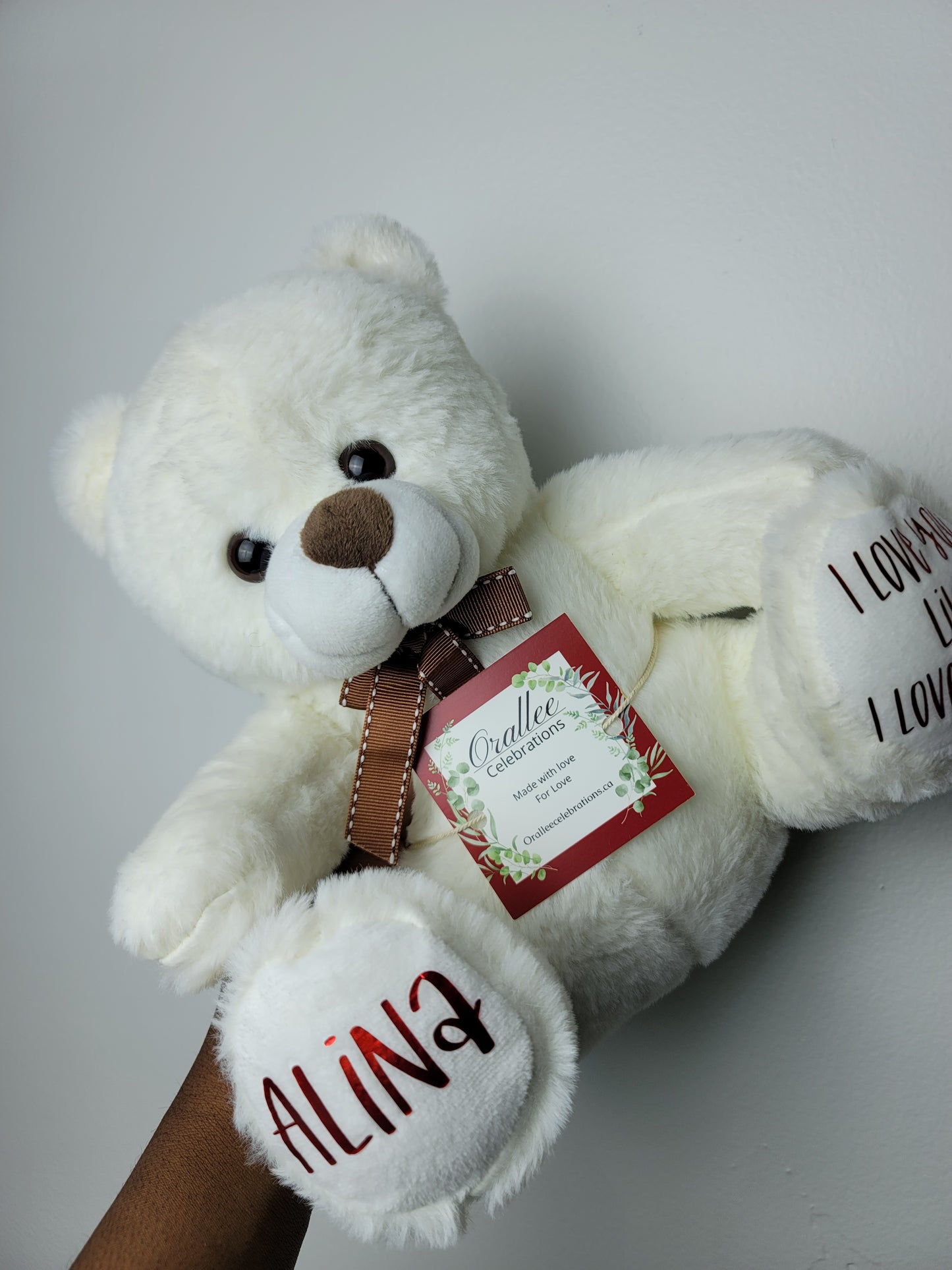 Custom Teddy Bear (25cm)