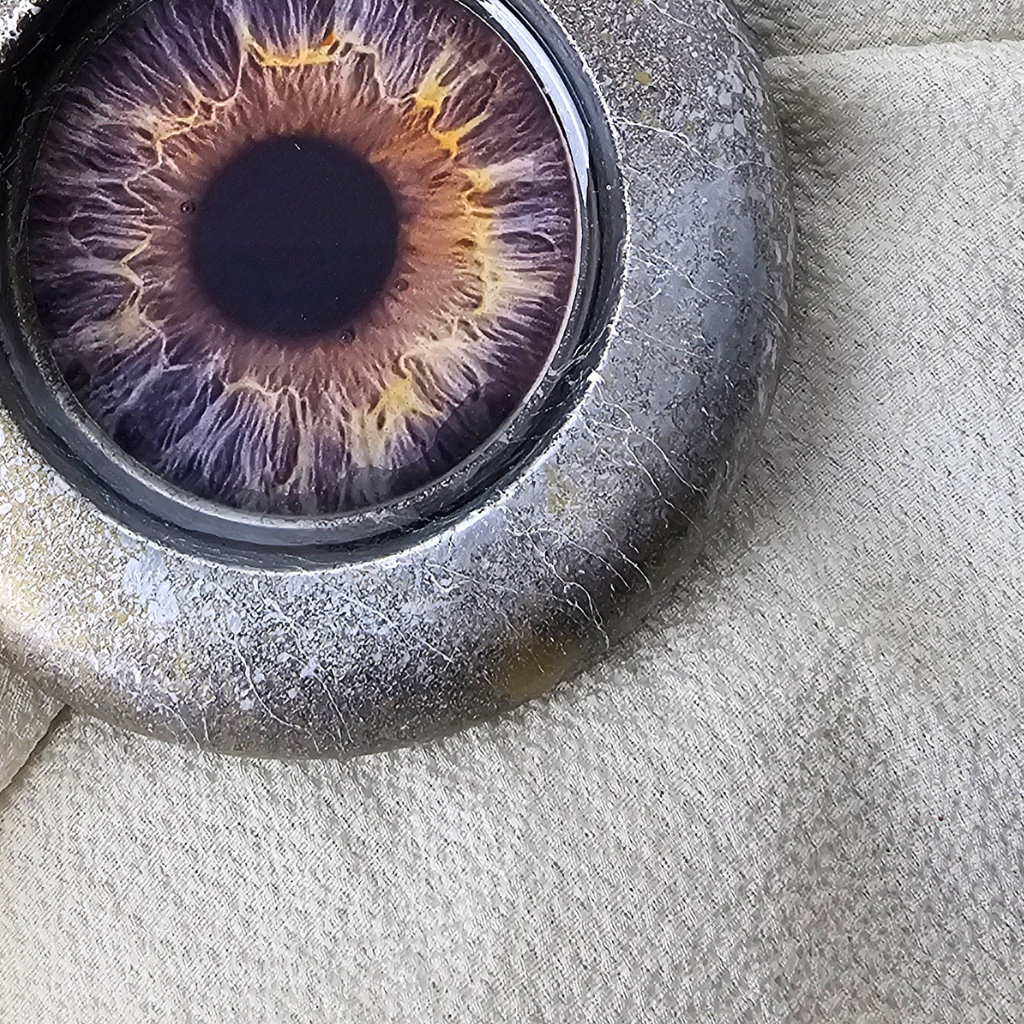 THE IRIS