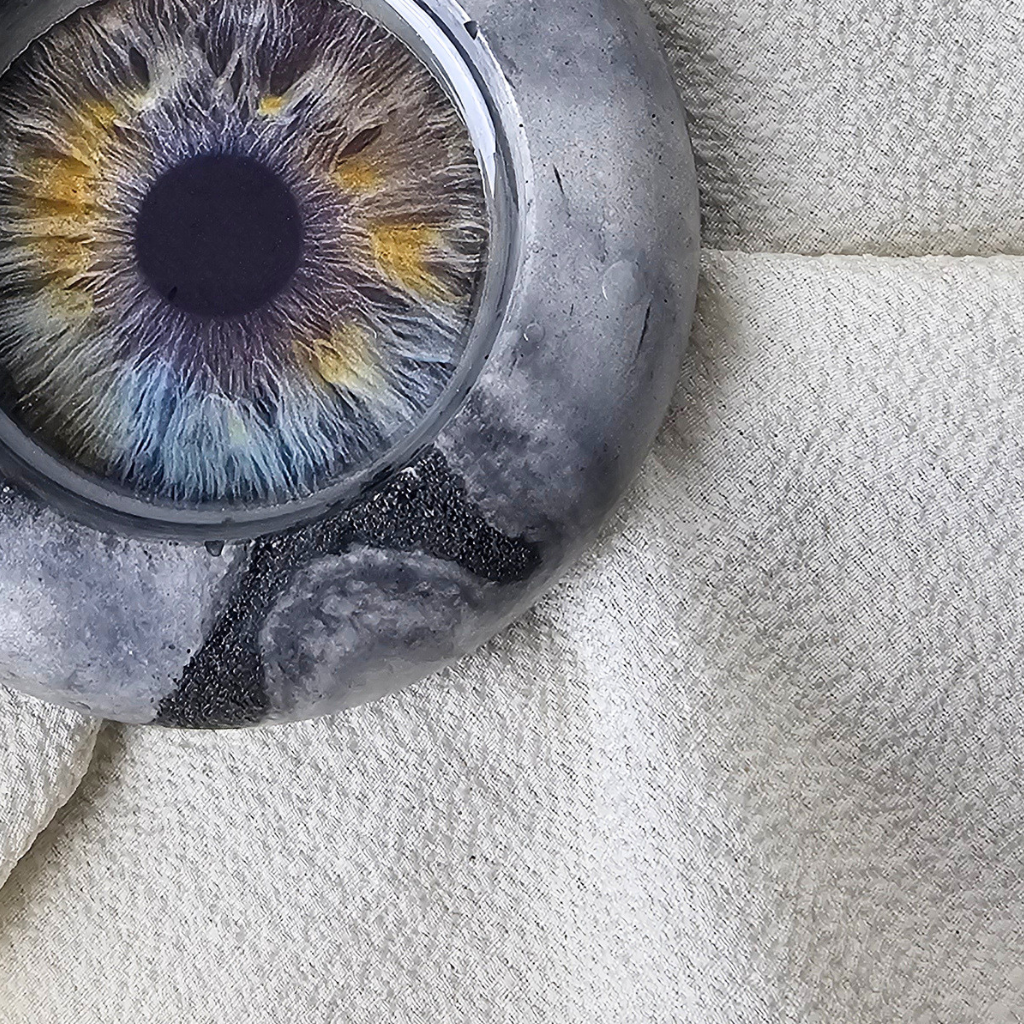 THE IRIS