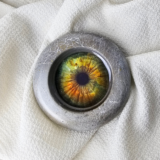THE IRIS