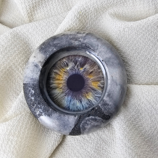 THE IRIS