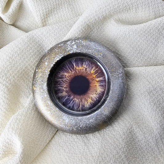 THE IRIS