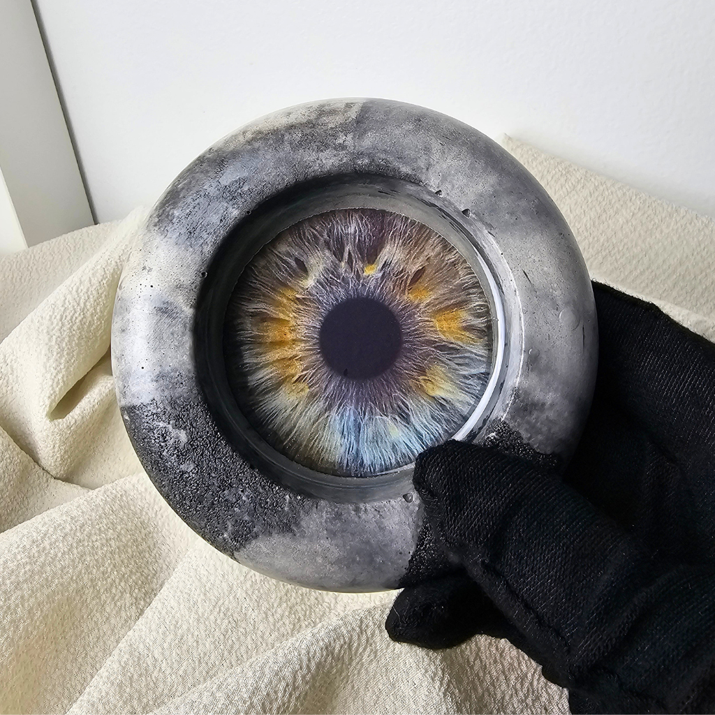 THE IRIS