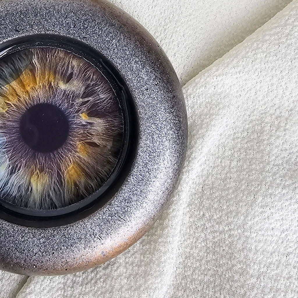 THE IRIS