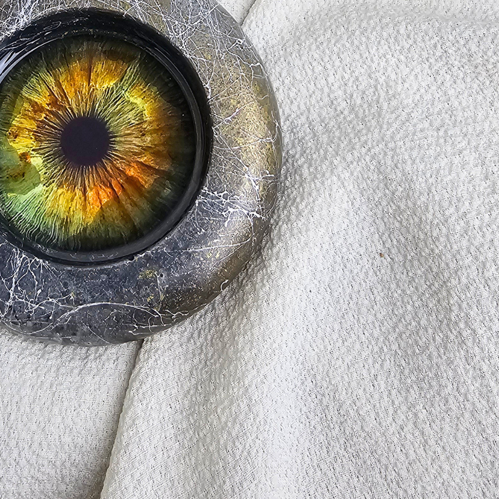 THE IRIS