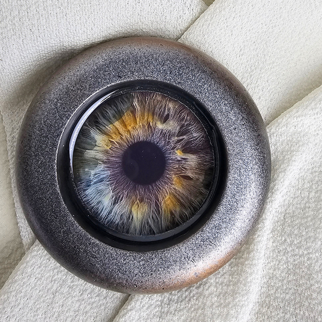 THE IRIS