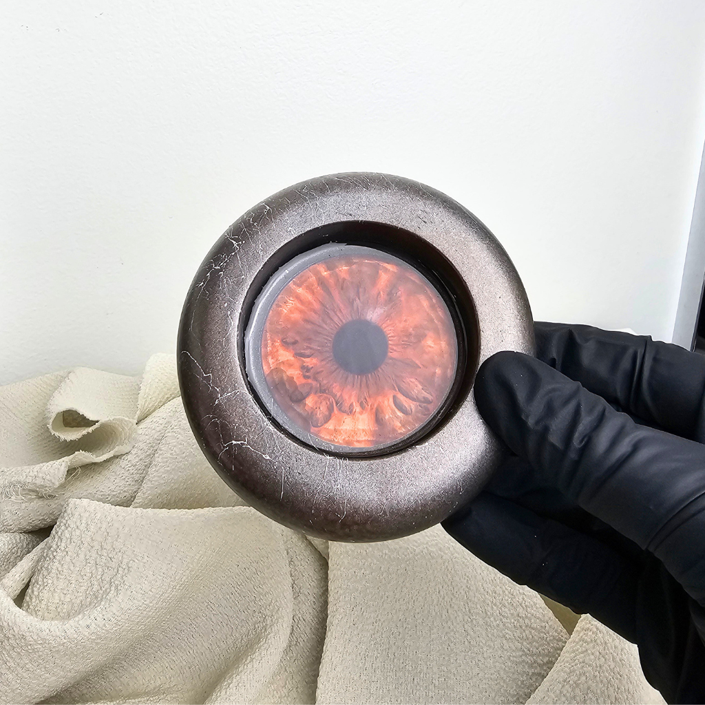 THE IRIS