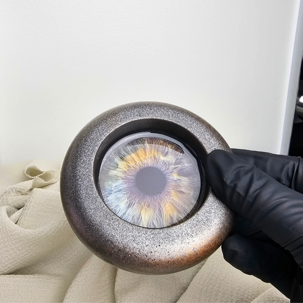 THE IRIS
