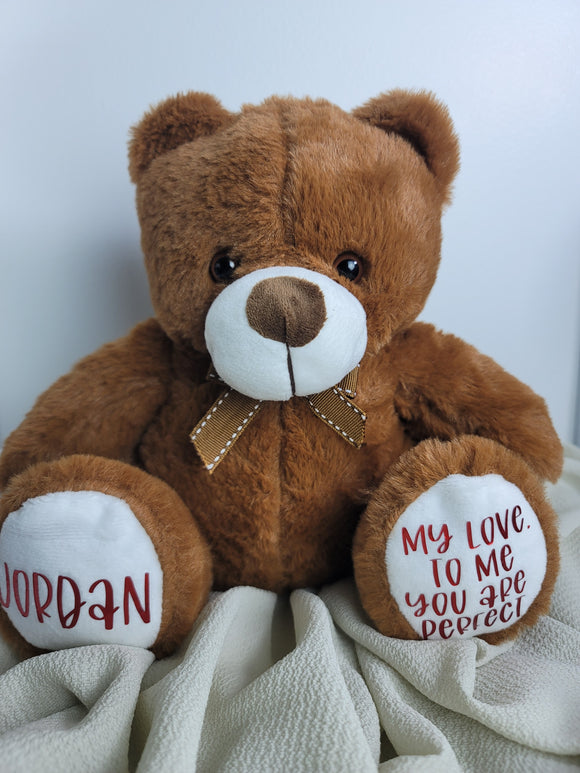 Custom Teddy Bear (25cm)