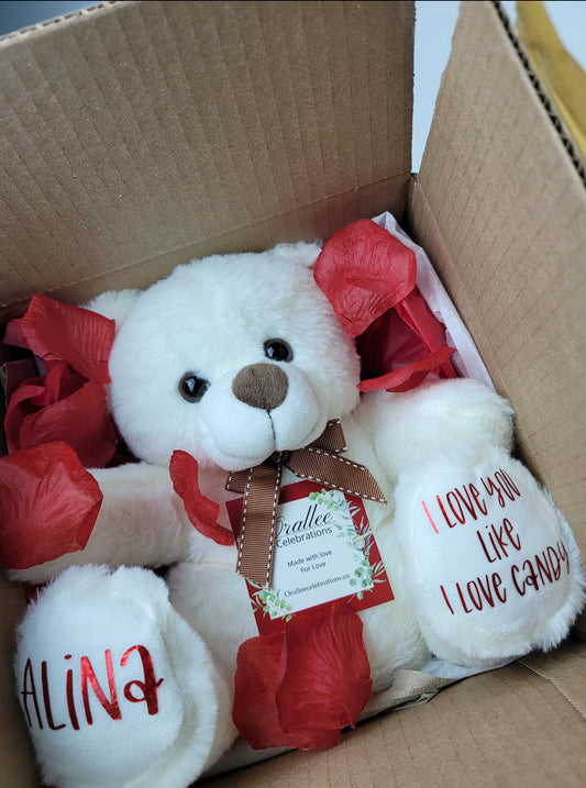 Custom Teddy Bear (25cm)